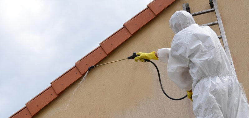 PRORÉ HABITAT, artisan couvreur peintre ur l’Île de Ré depuis plus de 20 ans, intervient pour vos travaux d’entretien de toiture, nettoyage par bio vapeur, de ravalement peinture façade, de boiserie, restauration complète de volets et de travaux d’intérieur : peinture, décoration, pose de revêtements sol et mur … pour les particuliers et les professionnels, en construction neuve comme en réhabilitation. Intervention sur l’Île de Ré (17)